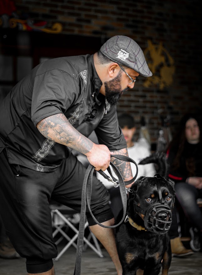 Adestrador Papo Reto conduzindo um Cane Corso durante sessão de adestramento – o melhor adestrador do Brasil
